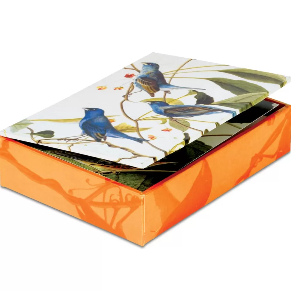 Best Sale Audubon Birds Notecards Notecards & Correspondence