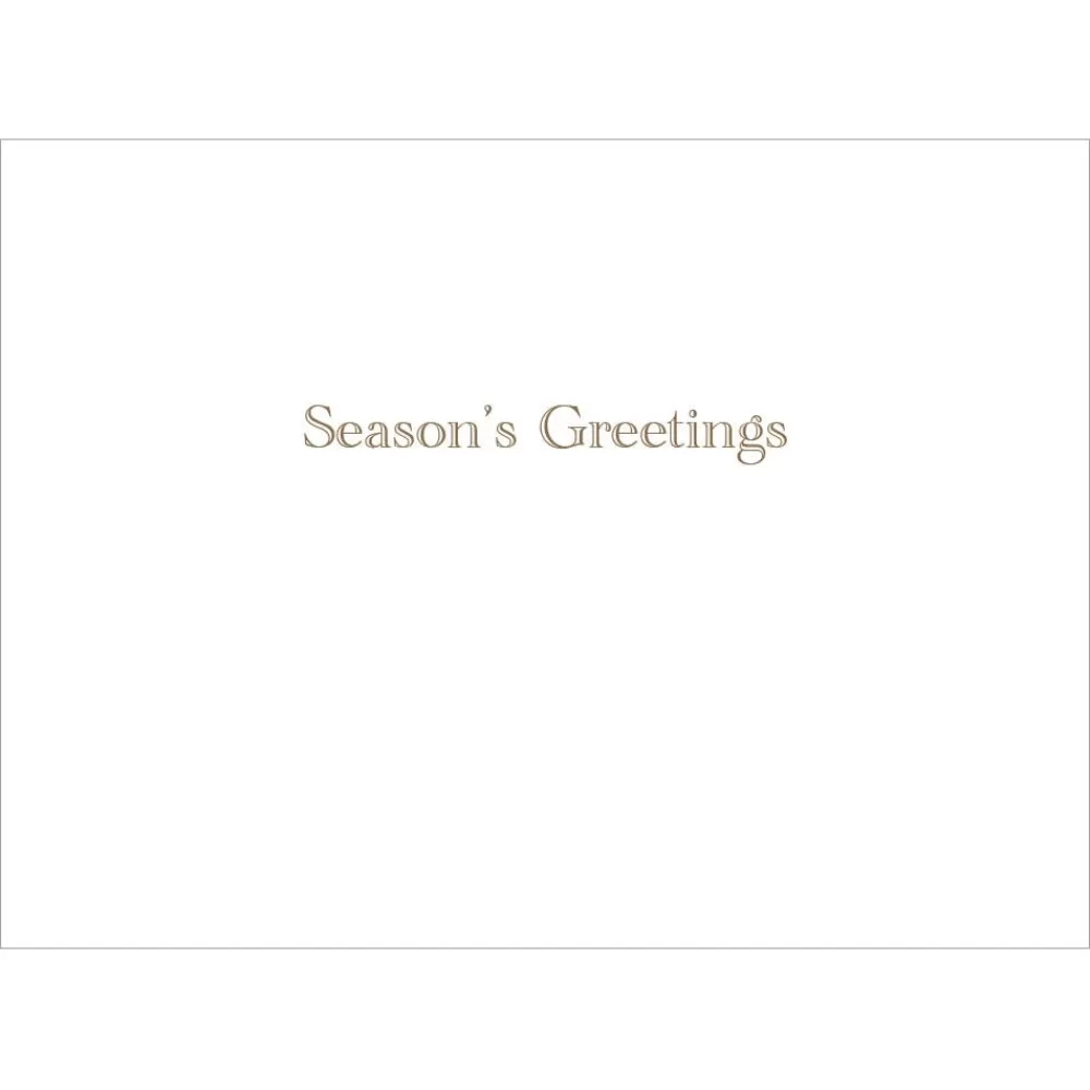 Hot Brockman: Park in Winter Holiday Cards Holiday Cards