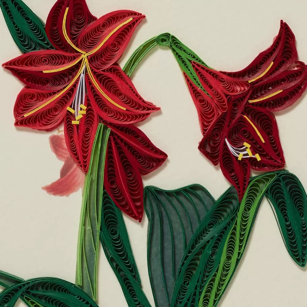 Fashion Hybrid Amaryllis Quilled Holiday Card Holiday Cards