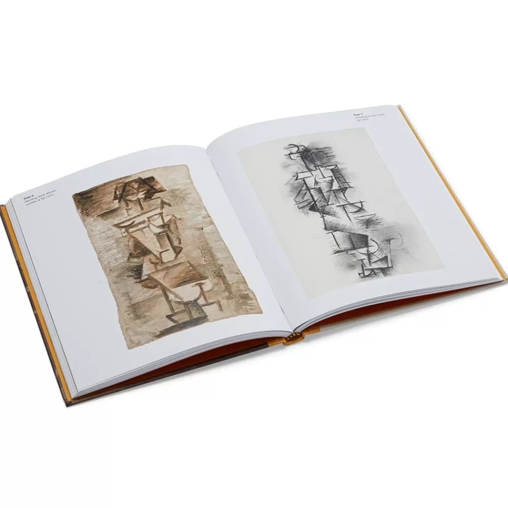 New Picasso: A Cubist Commission in Brooklyn Coffee Table Books | Met Publications