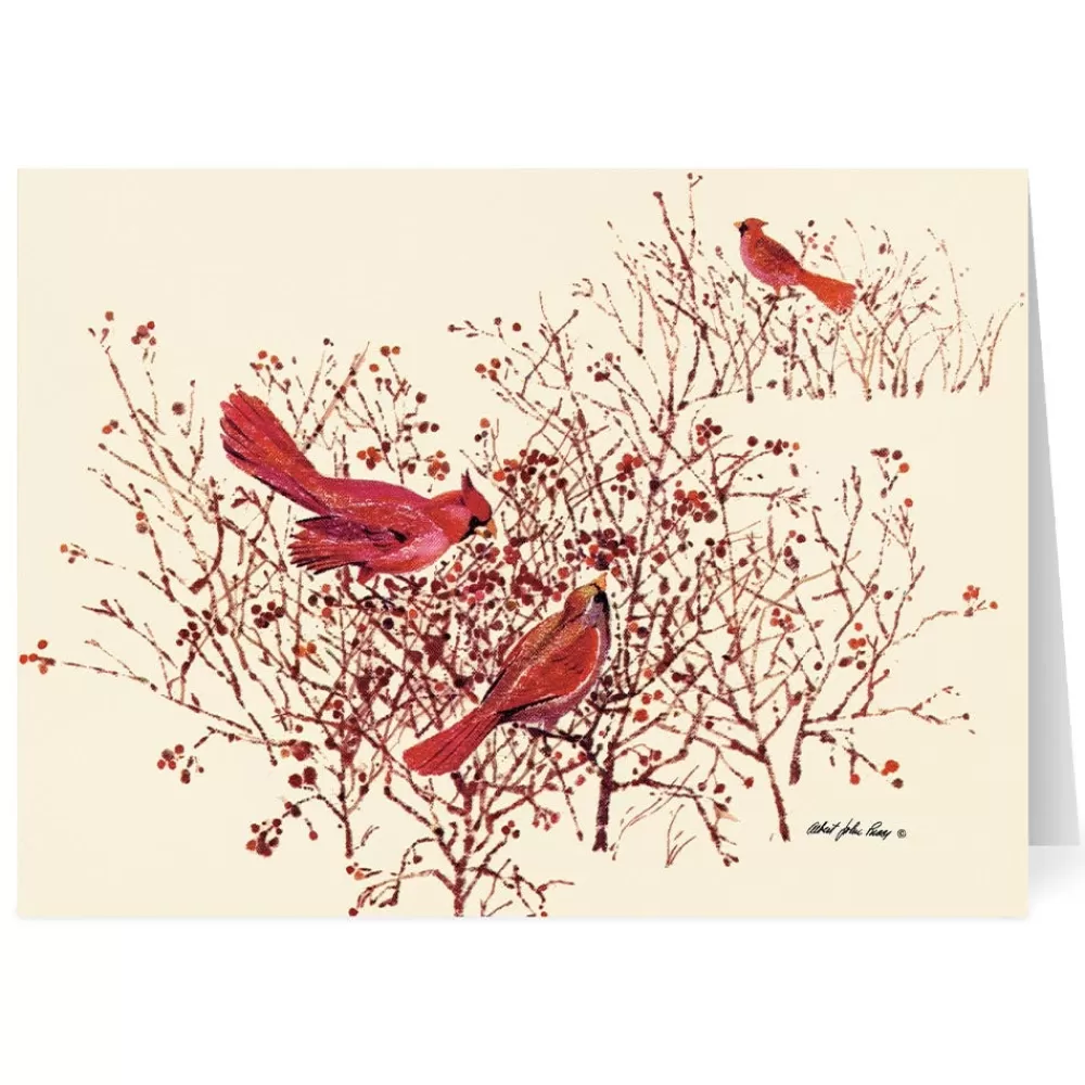 Discount Pucci: Bushes, Berries, and Birds Holiday Cards Holiday Cards