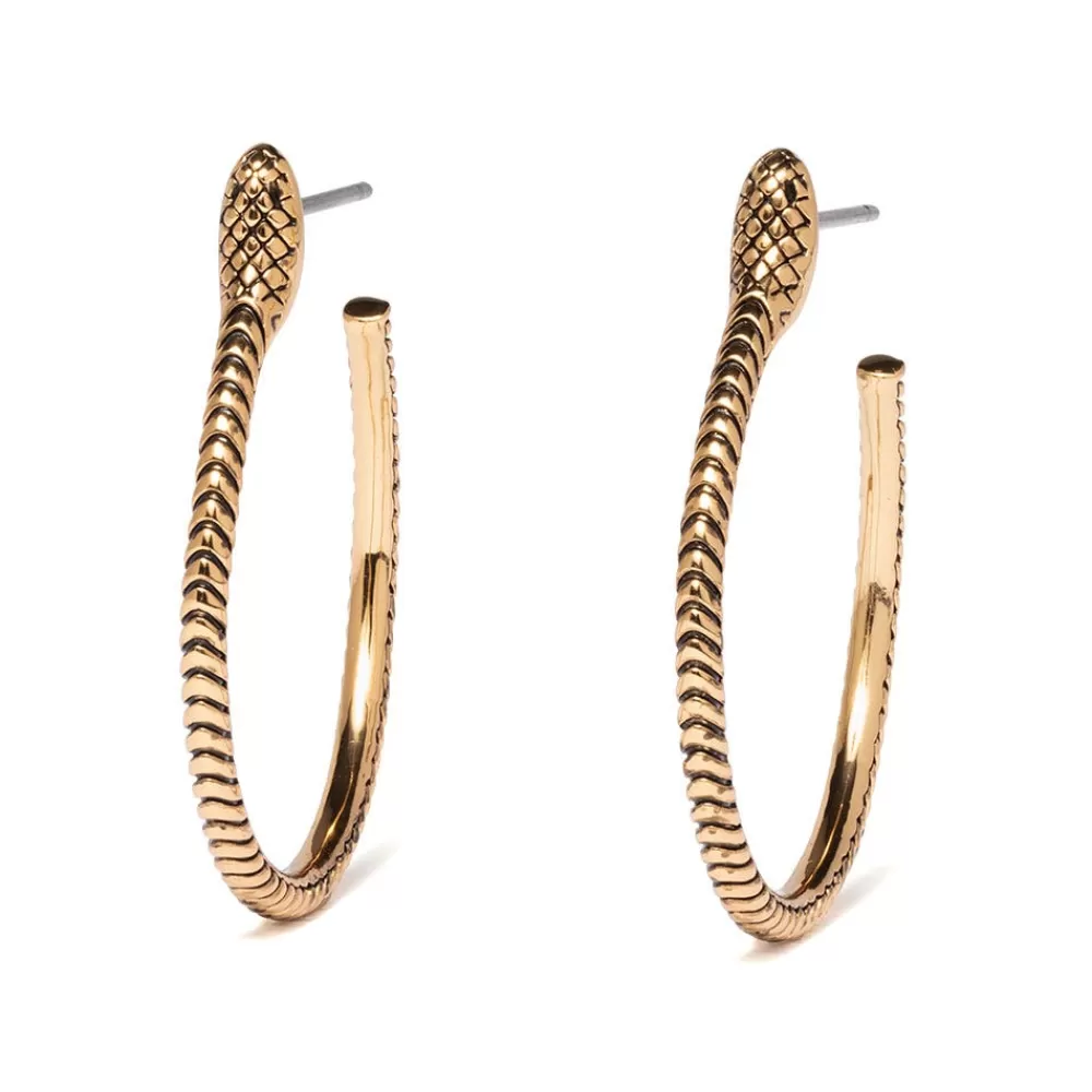 Store Serpentine Hoop Earrings Earrings