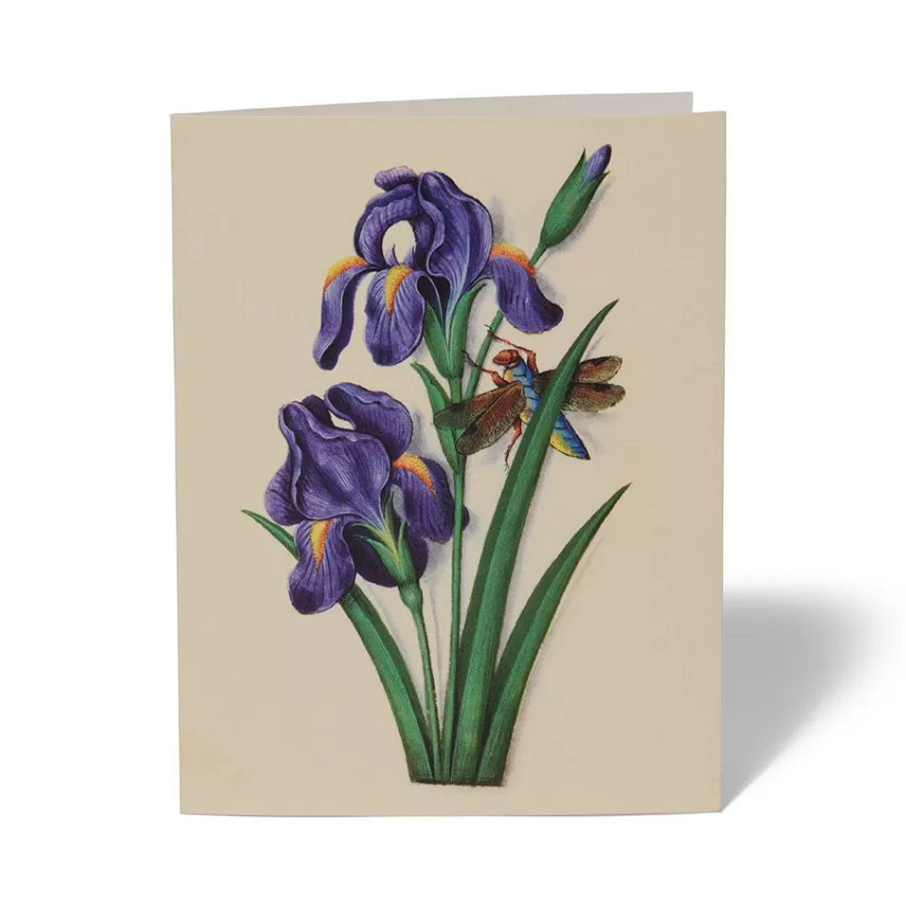 Best Sale The Met Cloisters Garden Notecards Notecards & Correspondence